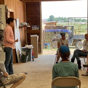 Siri Equine Coaching 2 square Siri Equine Coaching 2 square